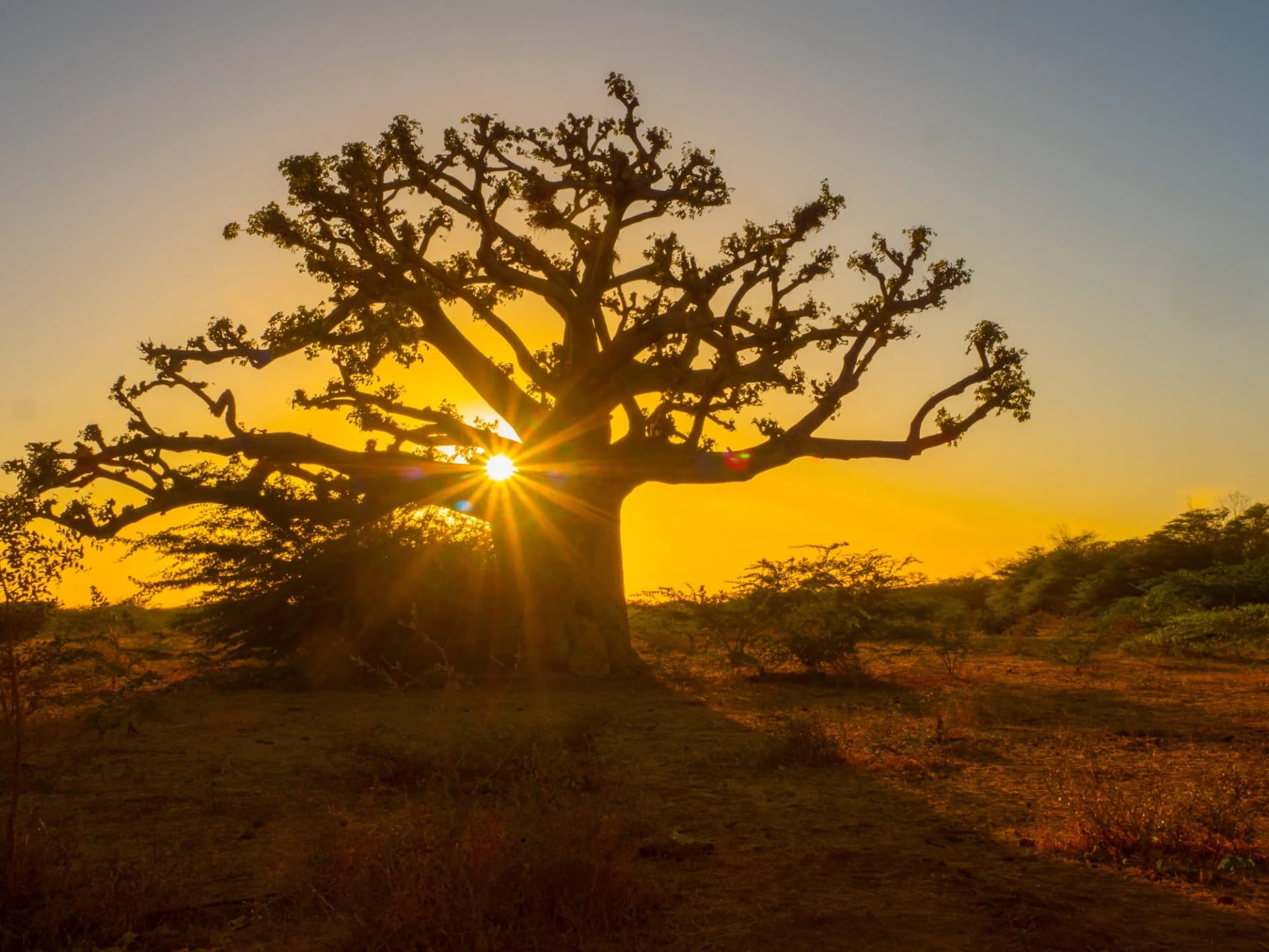 West Africa, Africa