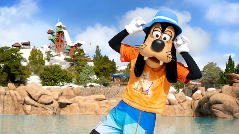 Disney's Blizzard Beach