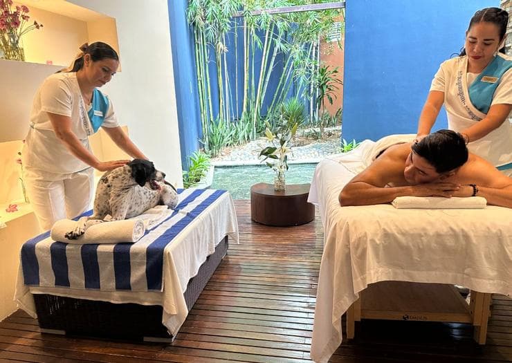 Hotel Azul Ixtapa All Inclusive Beach Resort Convention Center