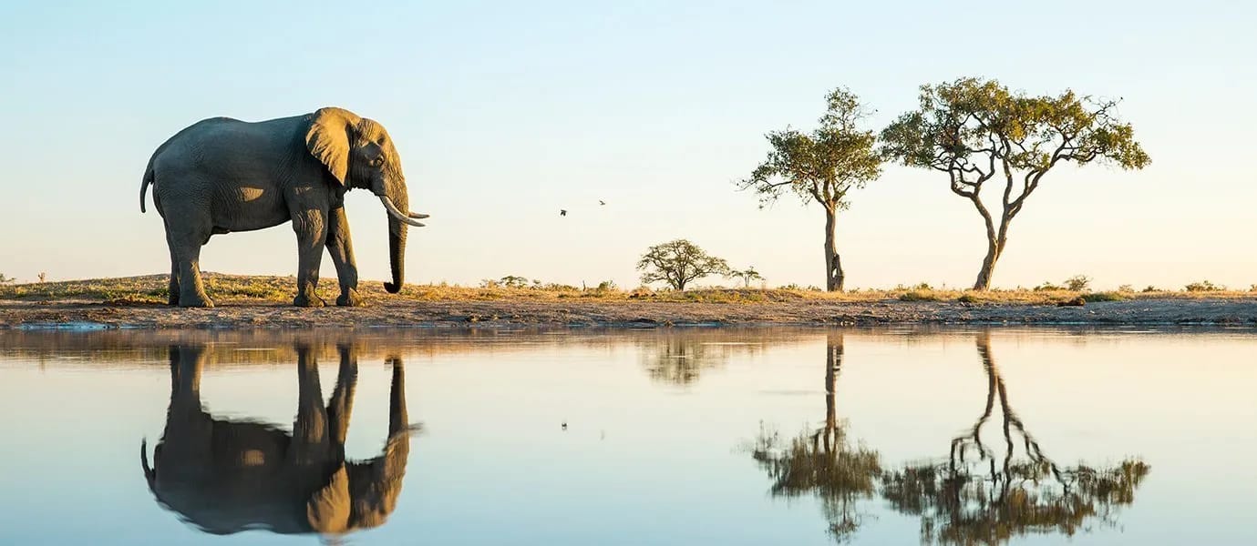 Zimbabwe, Botswana, Namibia & South Africa