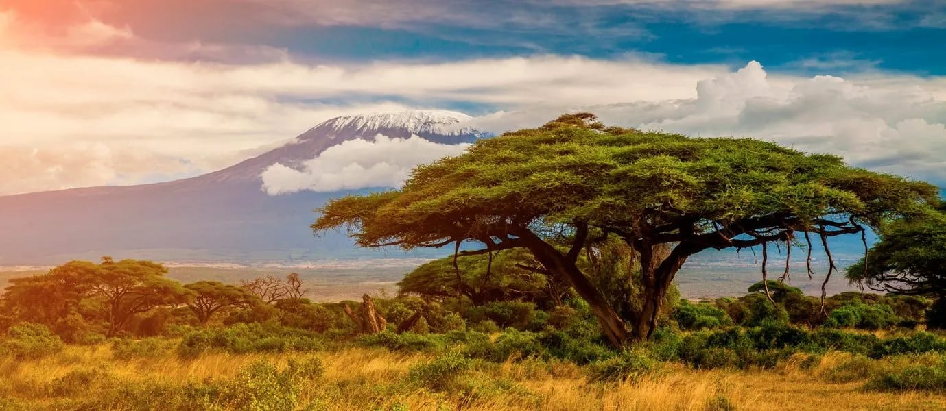 Kenya & Tanzania
