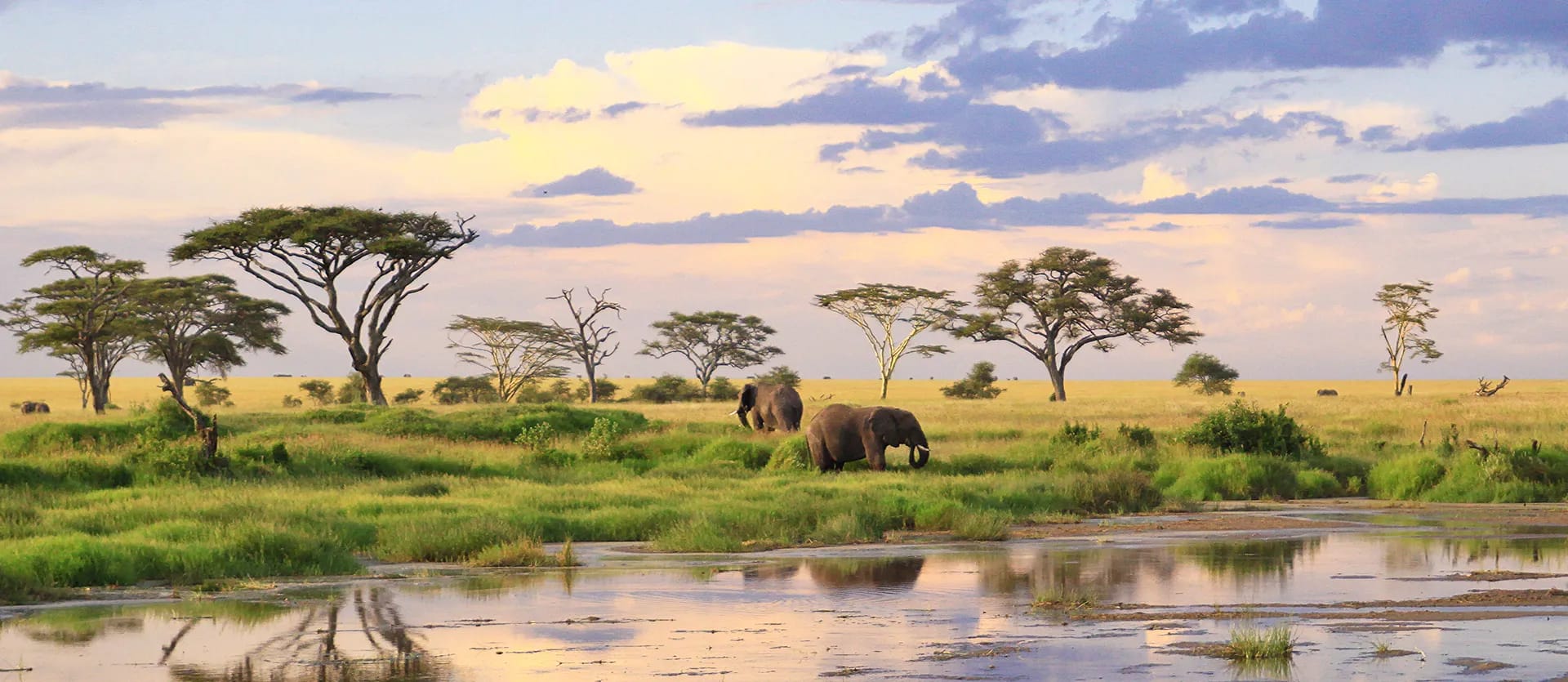 Tanzania