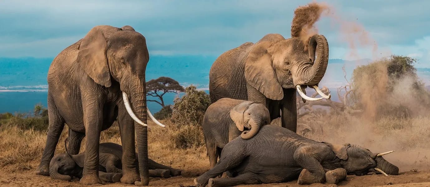 Kenya & Uganda