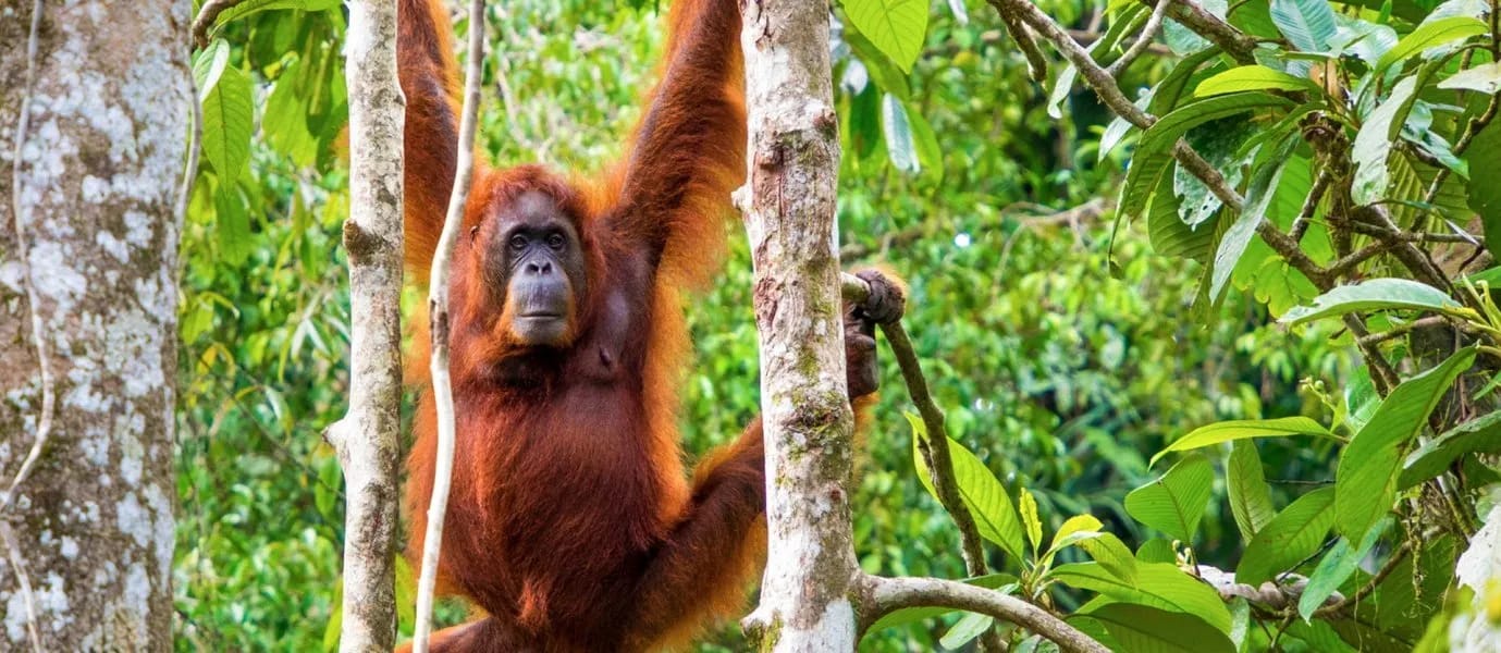 Malaysia