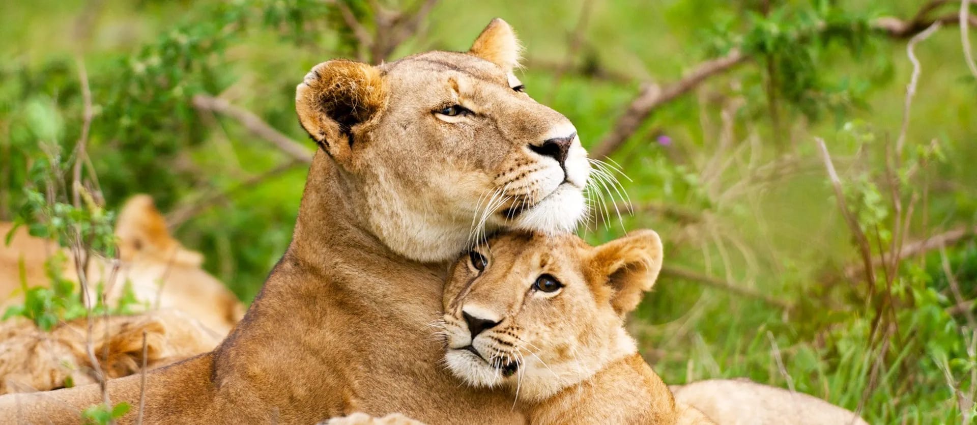 South Africa