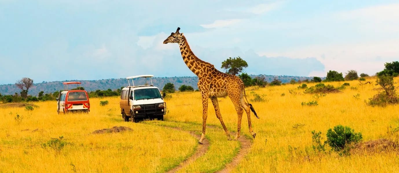 Kenya & Tanzania