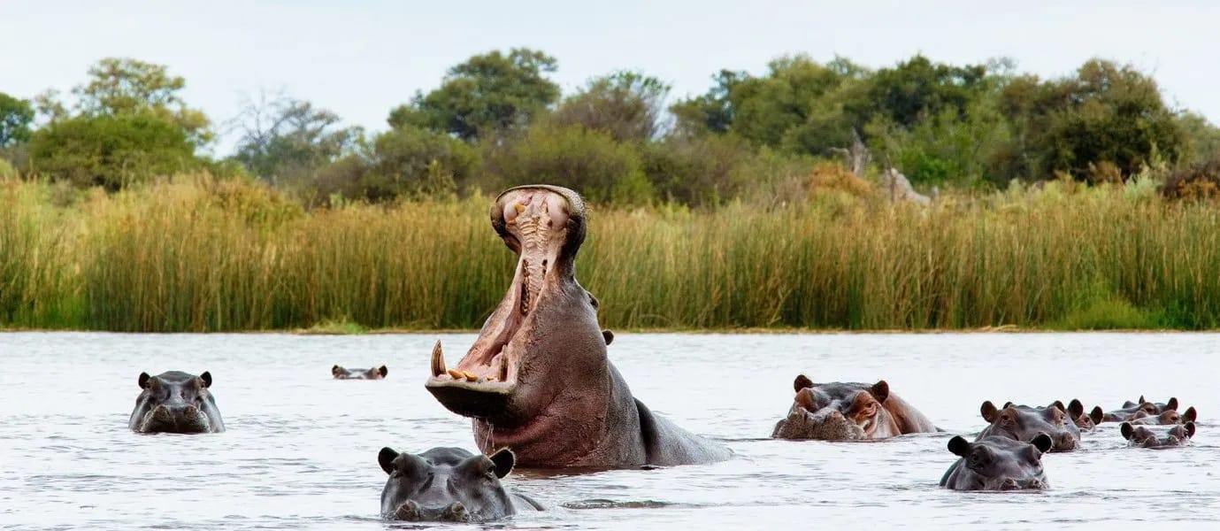 South Africa, Zimbabwe & Botswana